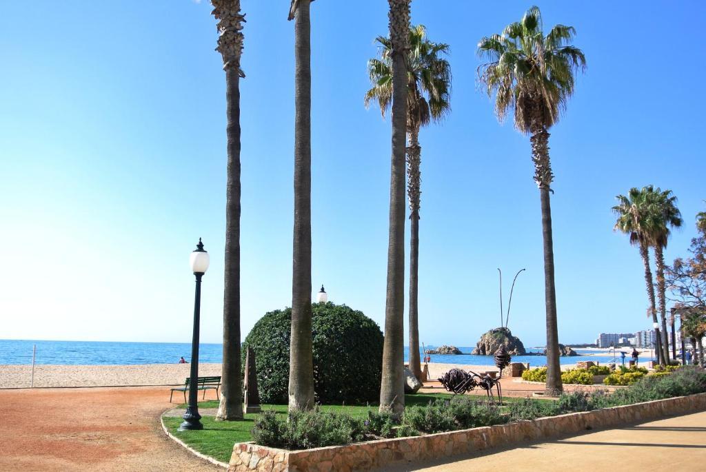 Aiguaneu Apartaments Center Blanes Extérieur photo